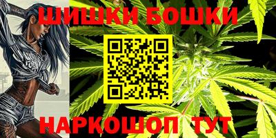 индика Лесосибирск