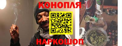 индика Лесосибирск