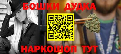 индика Лесосибирск