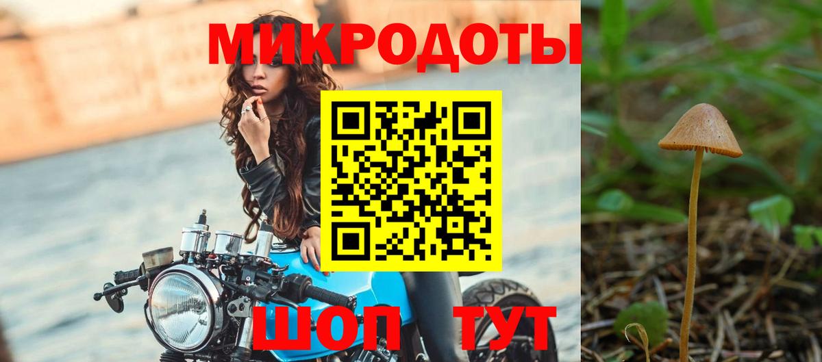 Губаха  дарнет шоп  Вход с VPN  Псилоцибиновые грибы MAGIC MUSHROOMS 